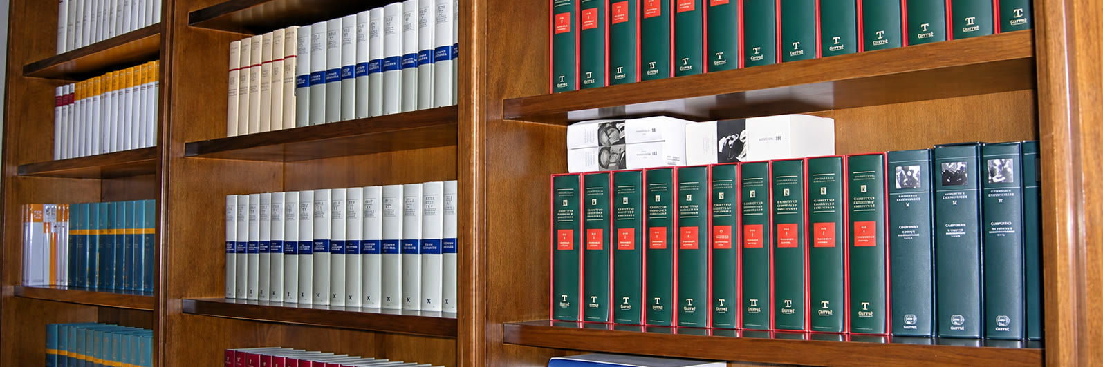 La biblioteca dello studio